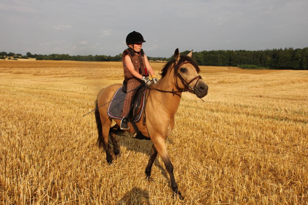 Ferienwohnung Zimmert Esterno foto